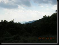 garrigue004.jpg