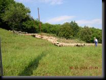 garrigue006.jpg