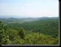 garrigue009.jpg