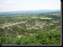 garrigue010.jpg