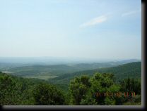 garrigue020.jpg