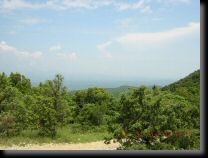 garrigue021.jpg