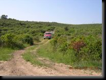 garriguette004.jpg