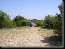 garriguette008.jpg