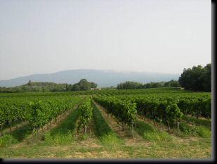 mont-ventoux-001.jpg